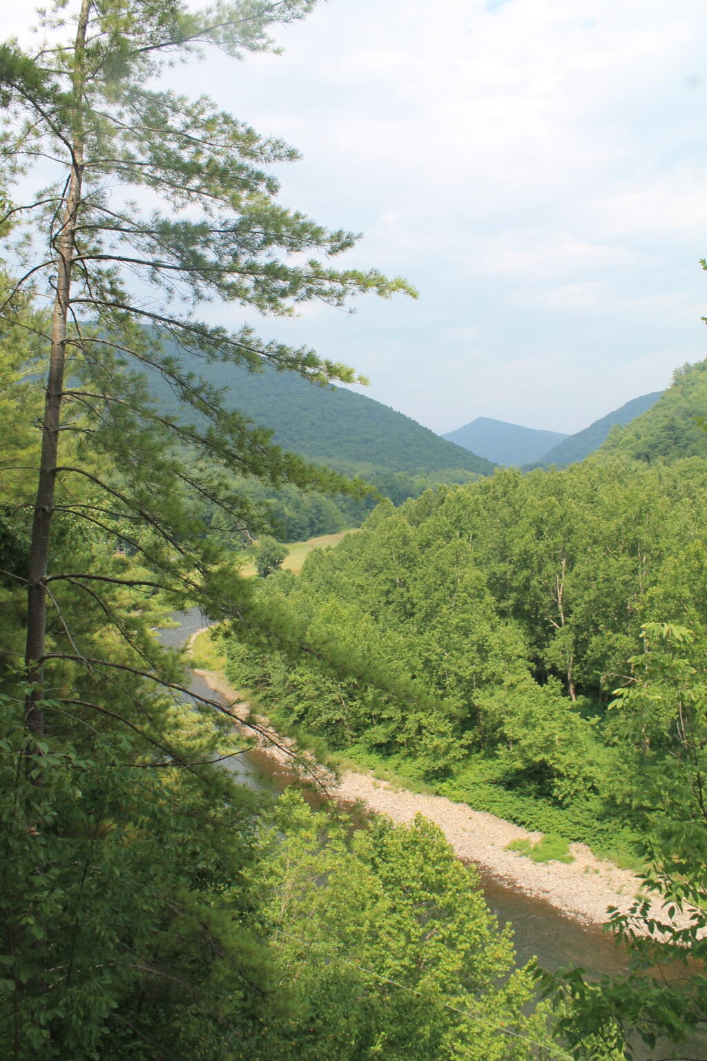 Photo: Pine Creek