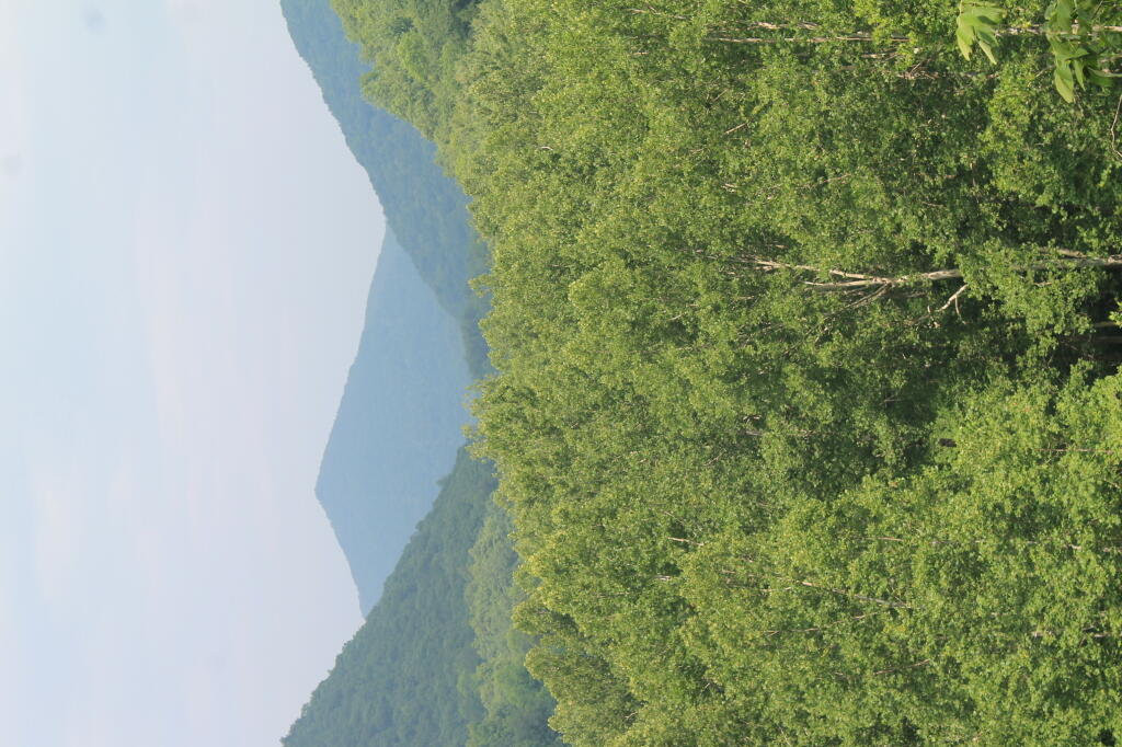 Photo: Triangle Hill
