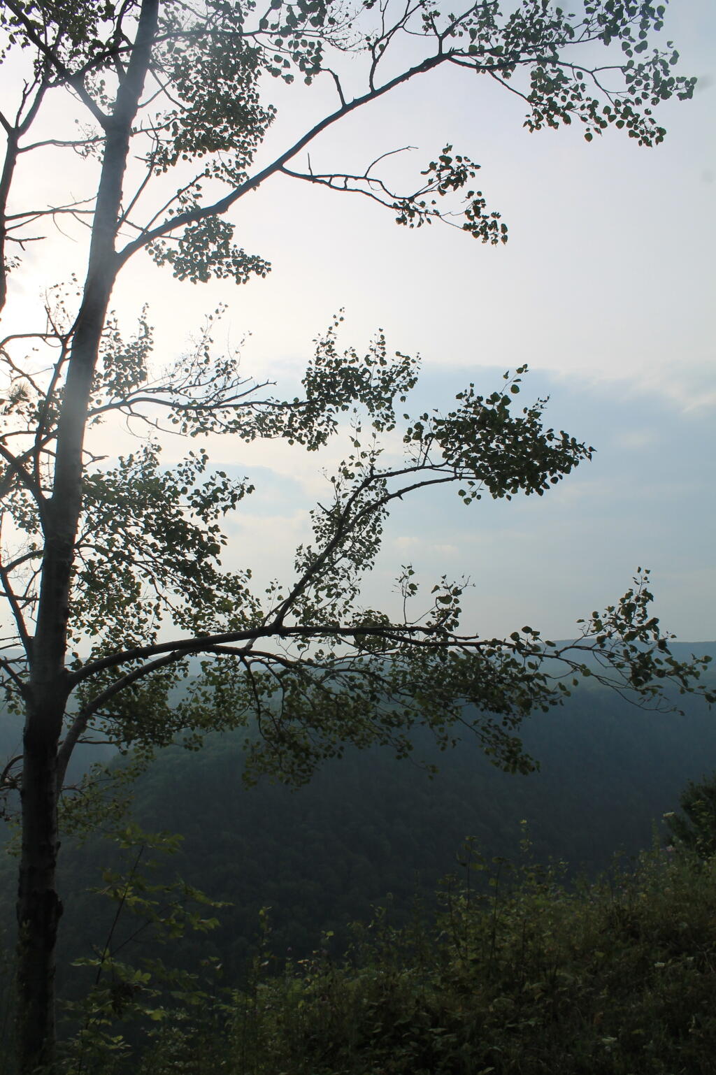 Photo: Harrison Overlook Photo: Harrison Overlook