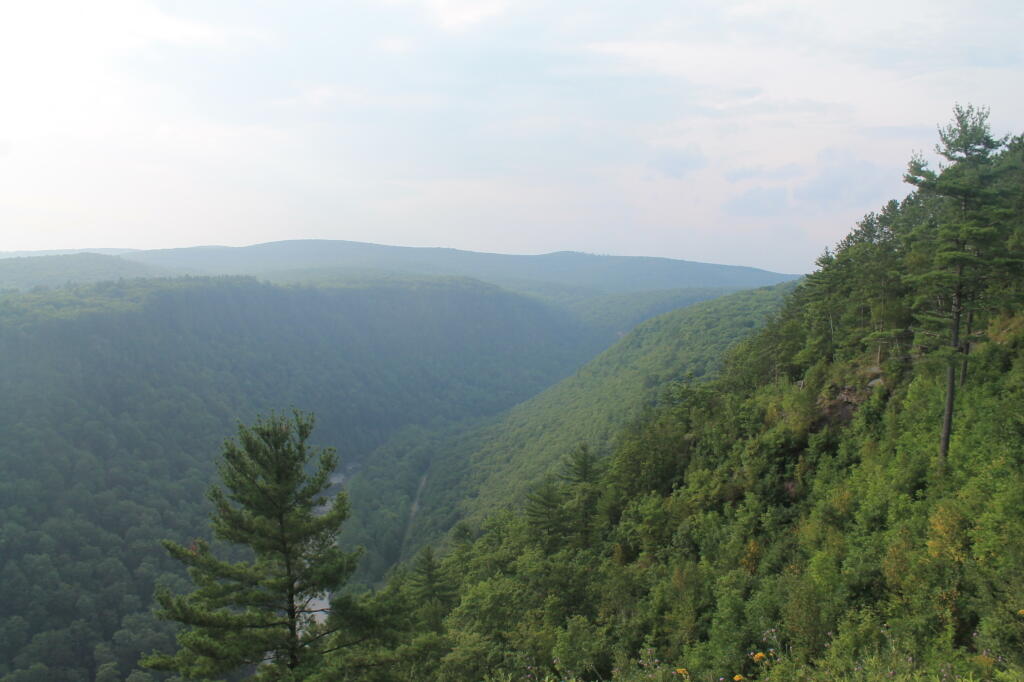 Photo: North