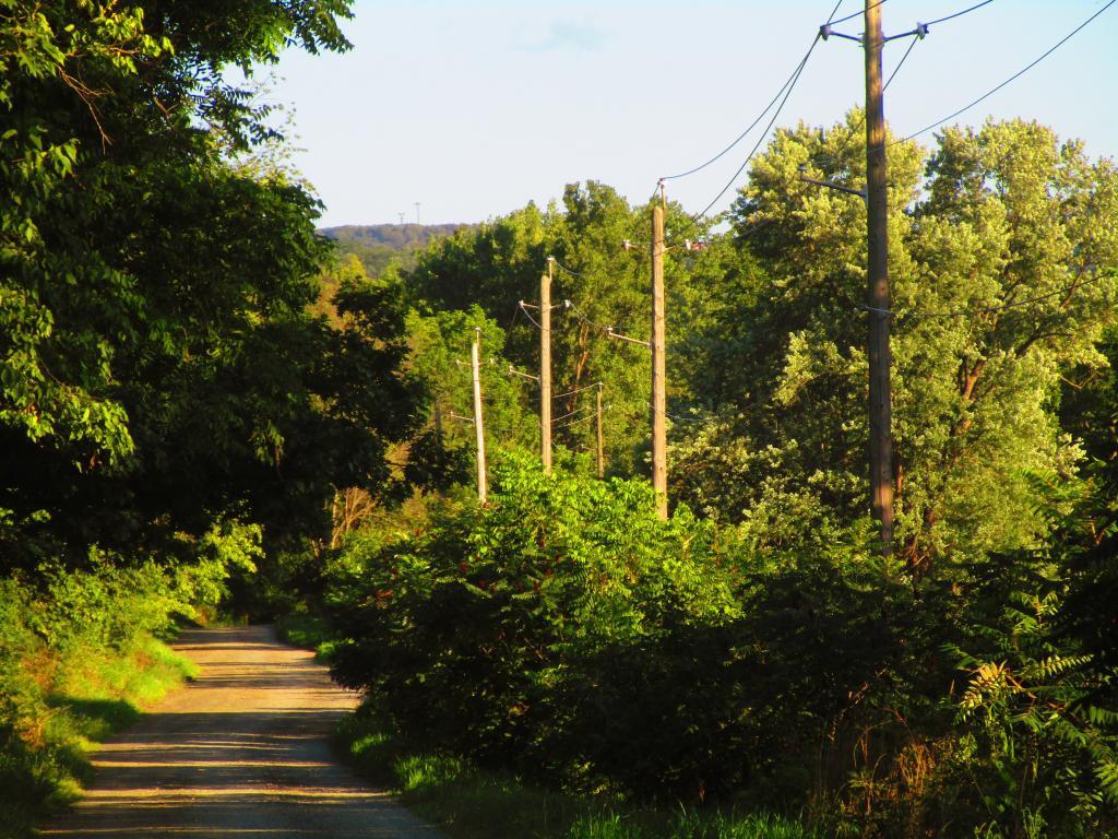 Photo: Quiet Along Rock Cabin Road
