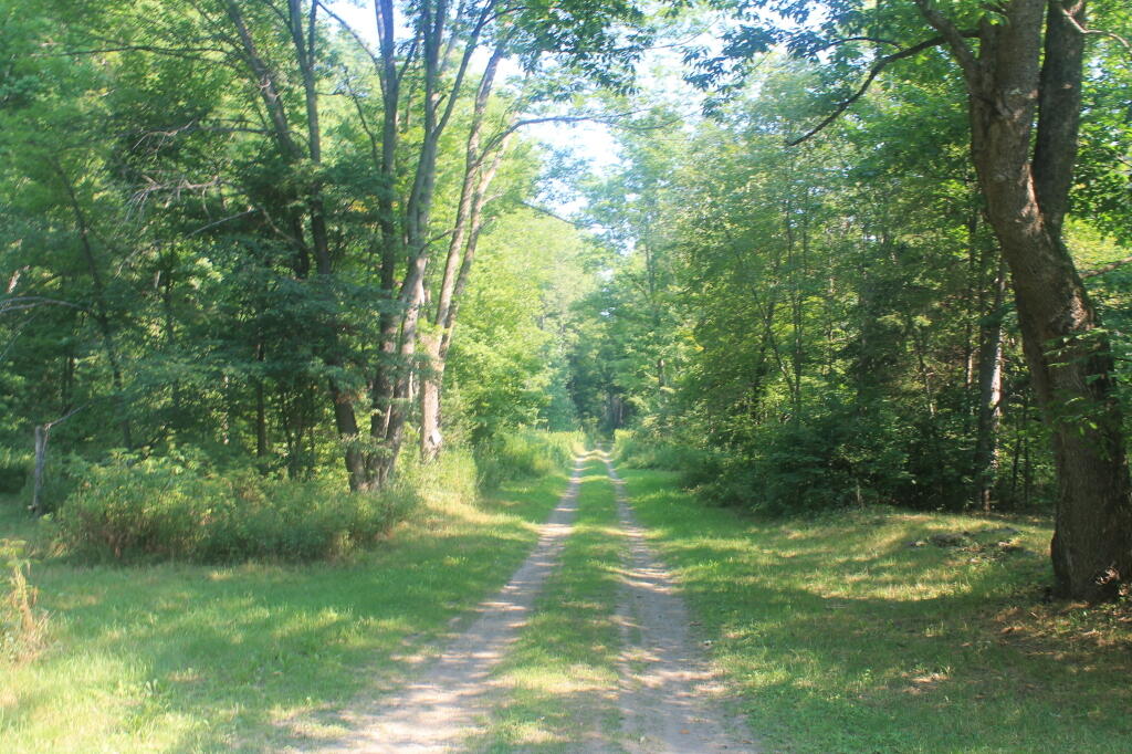 Photo: Betty Brook Road