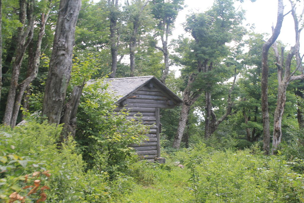 Photo: The Fabled Huntersfield Lean-To