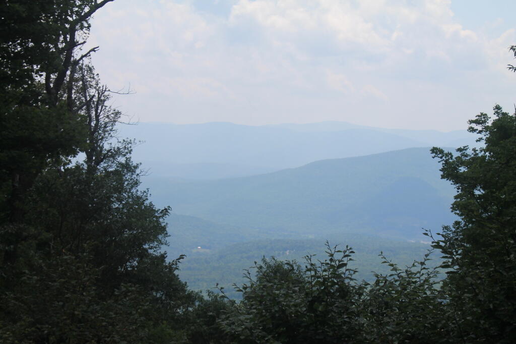 Photo: View from Lean-To