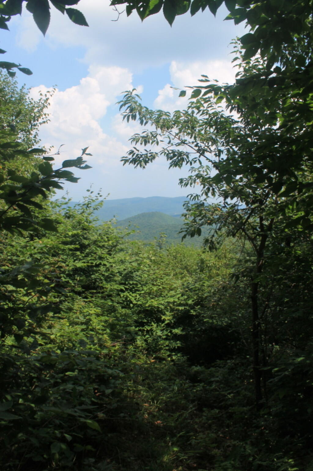 Photo: View of Ashland Pinacle