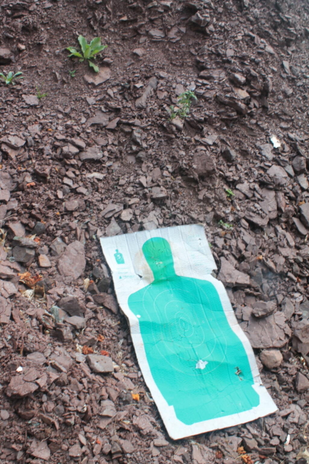 Photo: Target