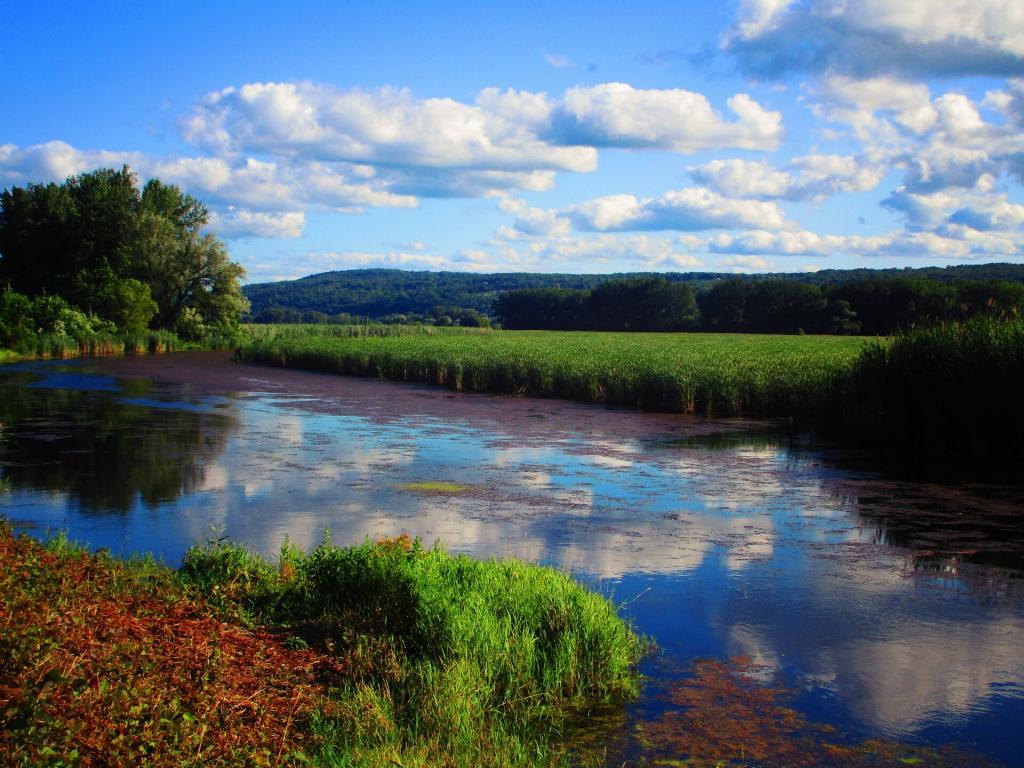 Photo: Seneca Lake Inlet