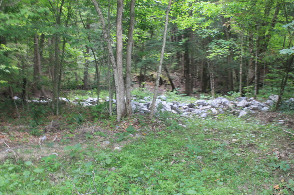 Photo: New Levy Post Irene