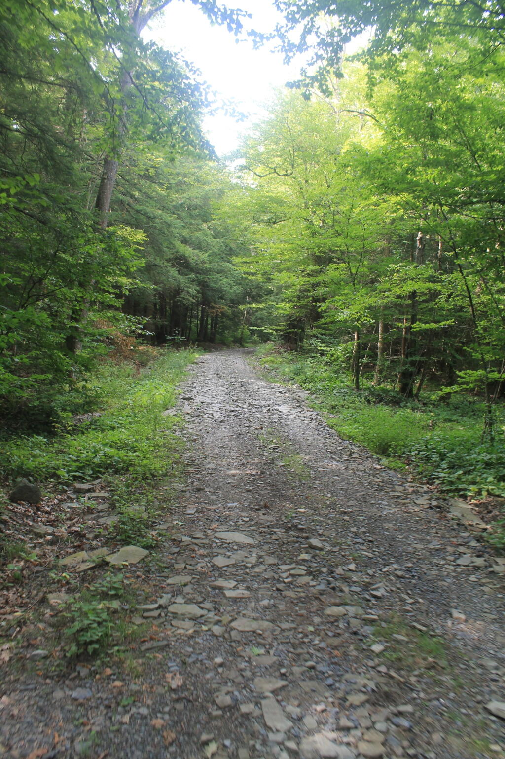 Photo: Rebuilt Betty Brook Road