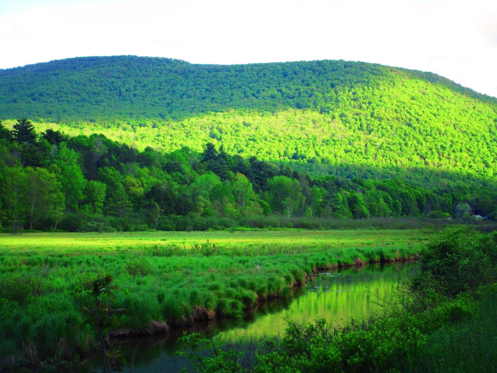 Photo: White Man Mountain