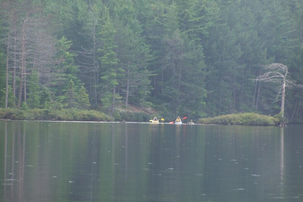 Photo: Paddlers in the Narrows