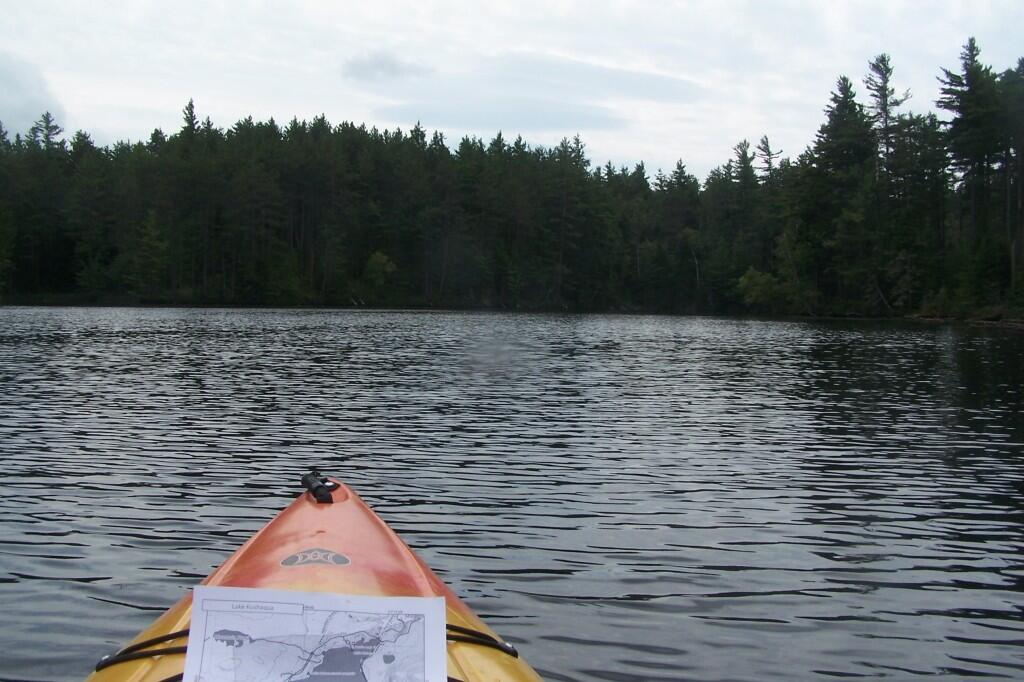 Photo: In the Narrows