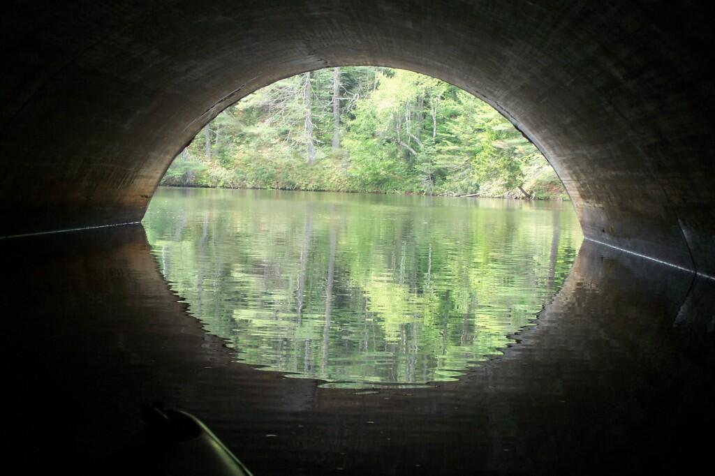 Photo: Reflect
