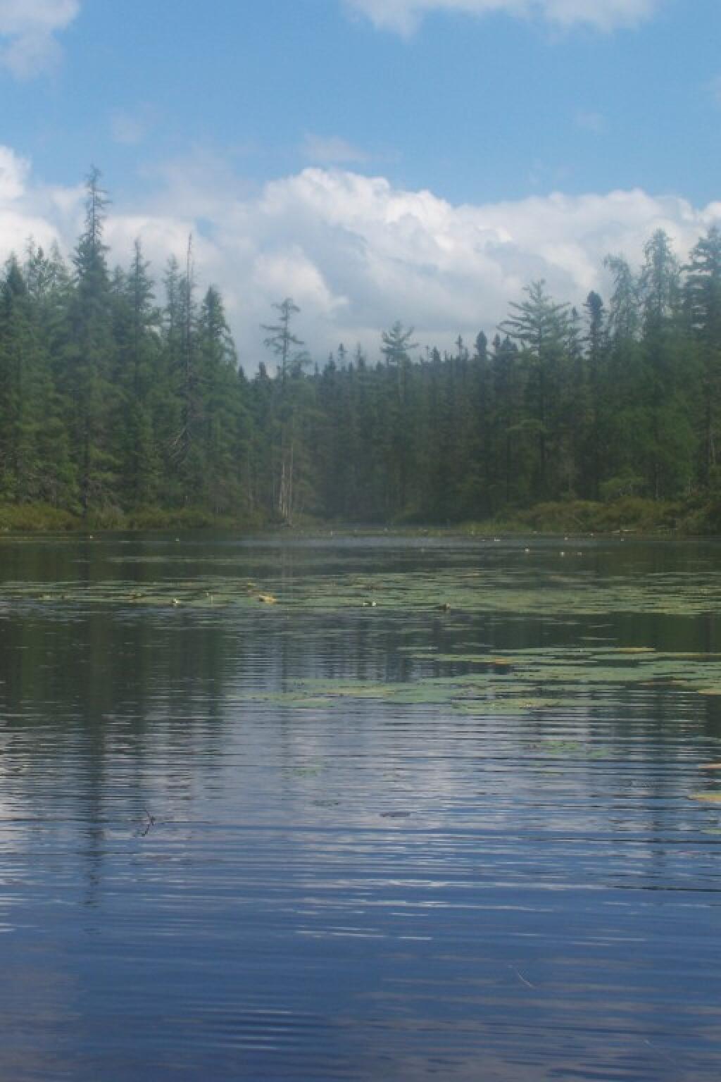 Photo: Along the River