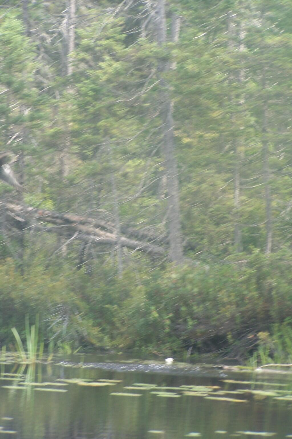 Photo: Untitled Photo: Untitled