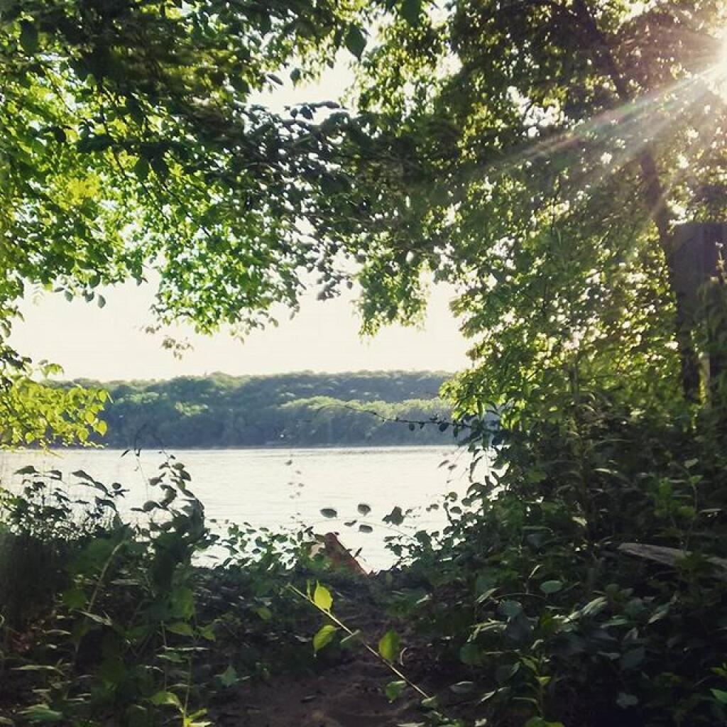 Photo: View