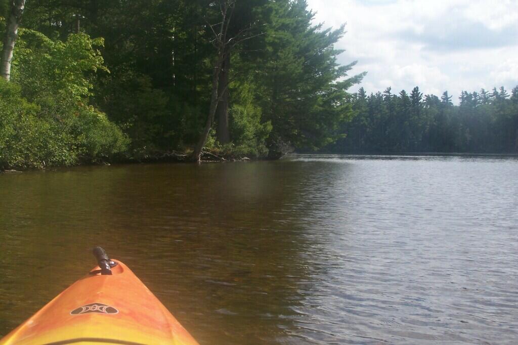 Photo: Back to Shore