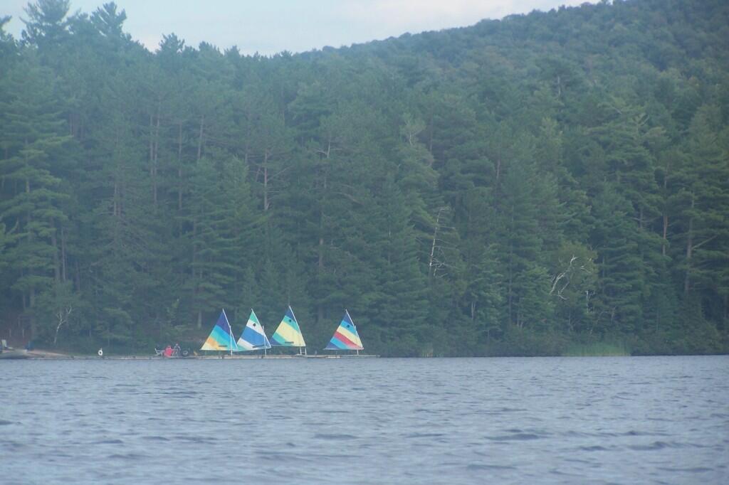 Photo: Sail Boards on Jones Pond