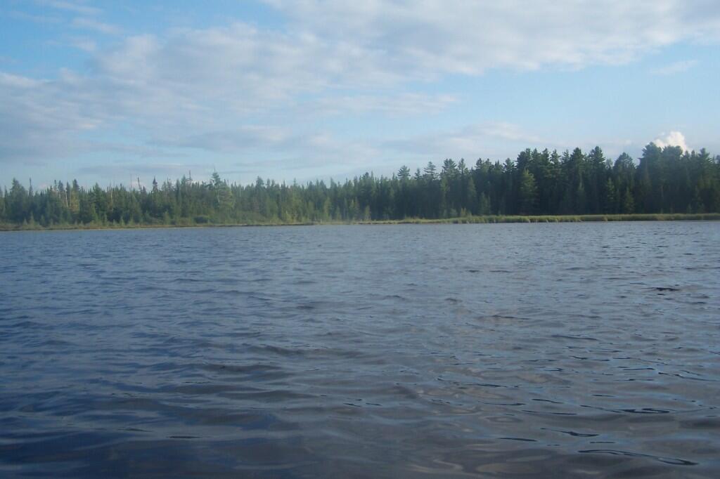 Photo: Jones Pond