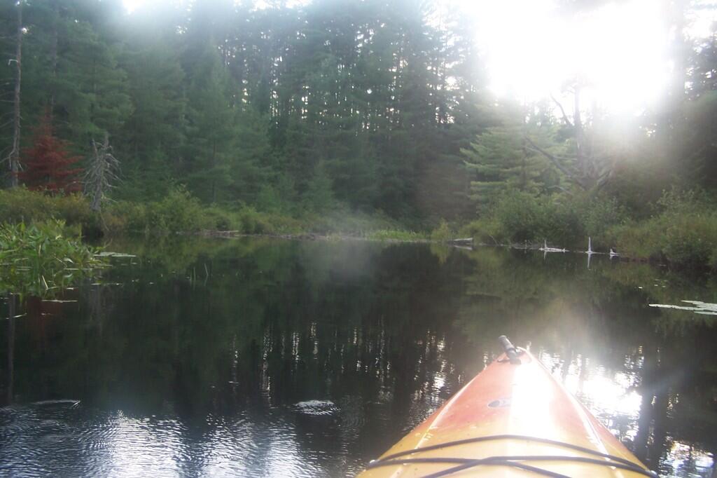 Photo: Beaver Dam Ahead