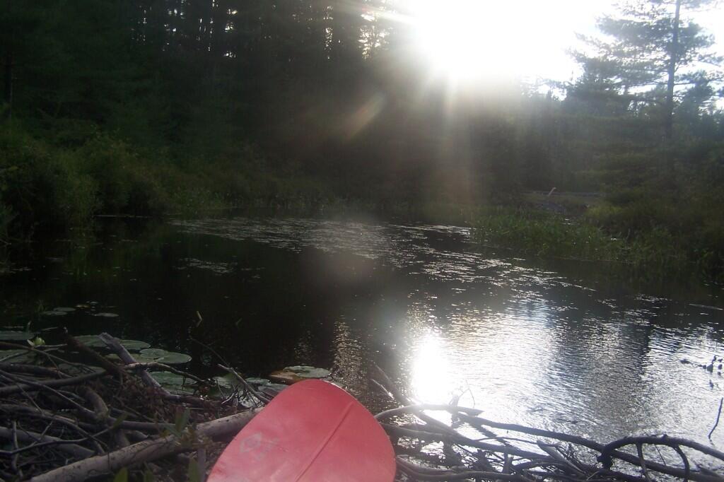 Photo: No Further: Beaver Dam
