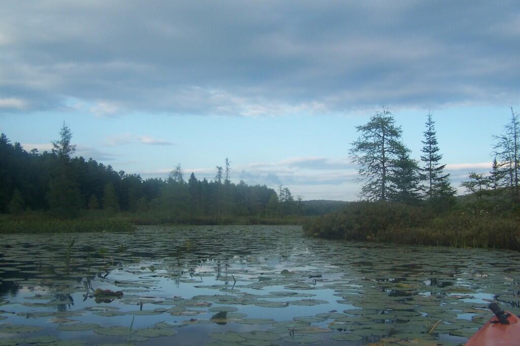 Photo: Jones Pond Outlet