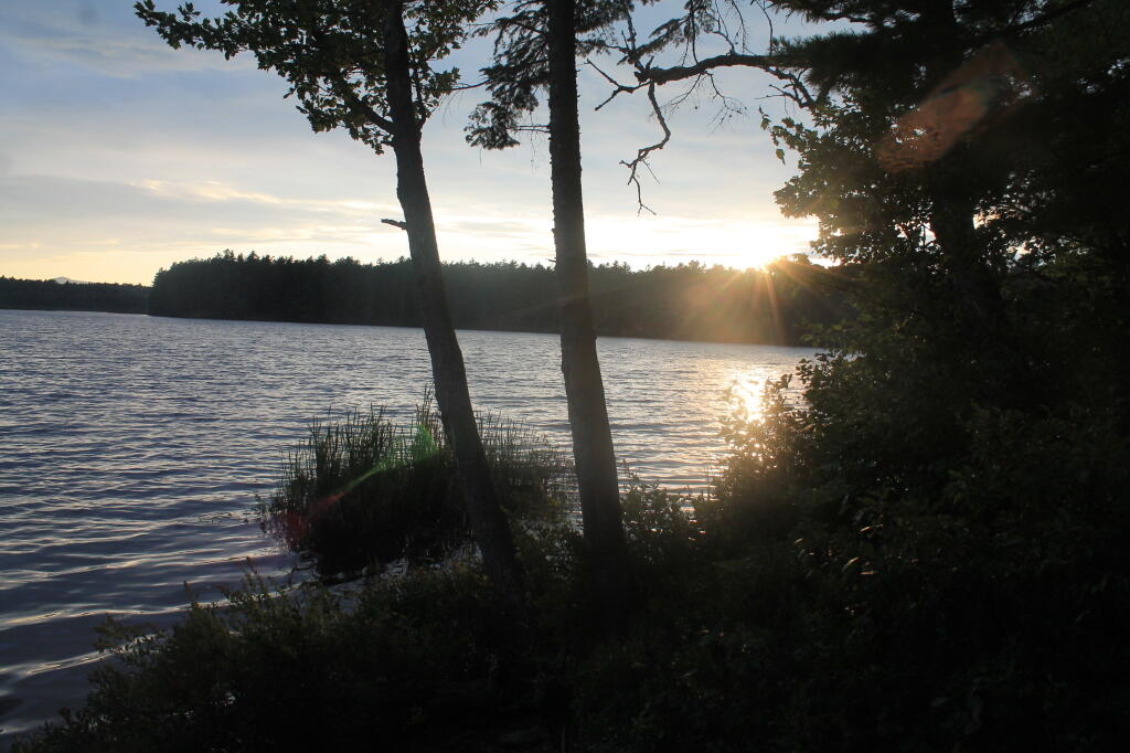 Photo: Lower