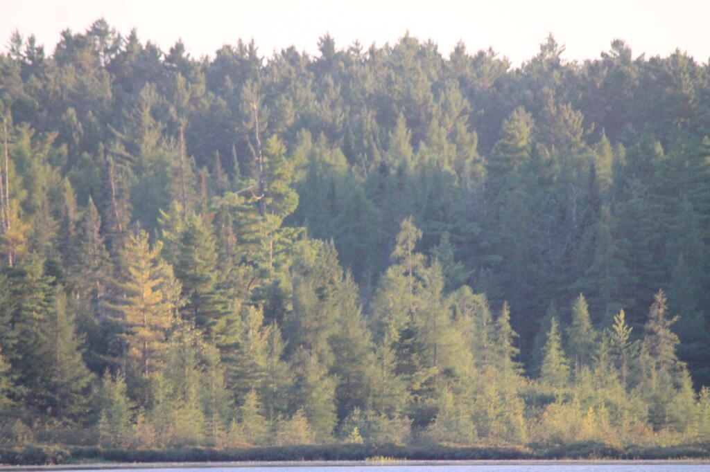 Photo: Lakes Edge