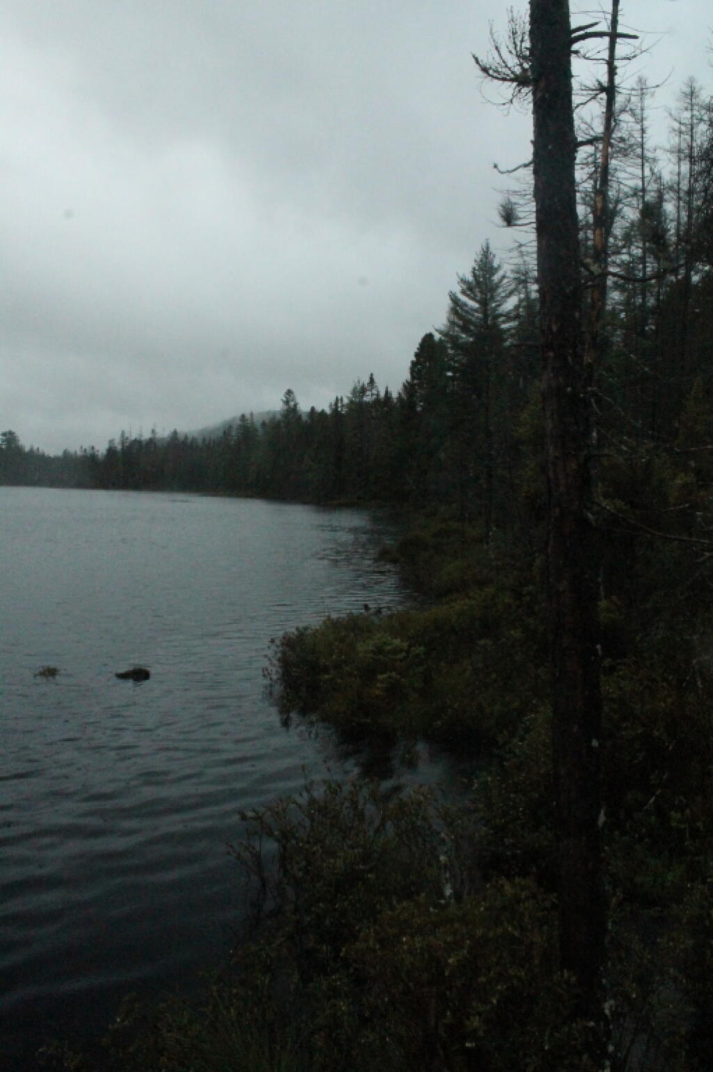 Photo: Dark Day at Helldiver Pond