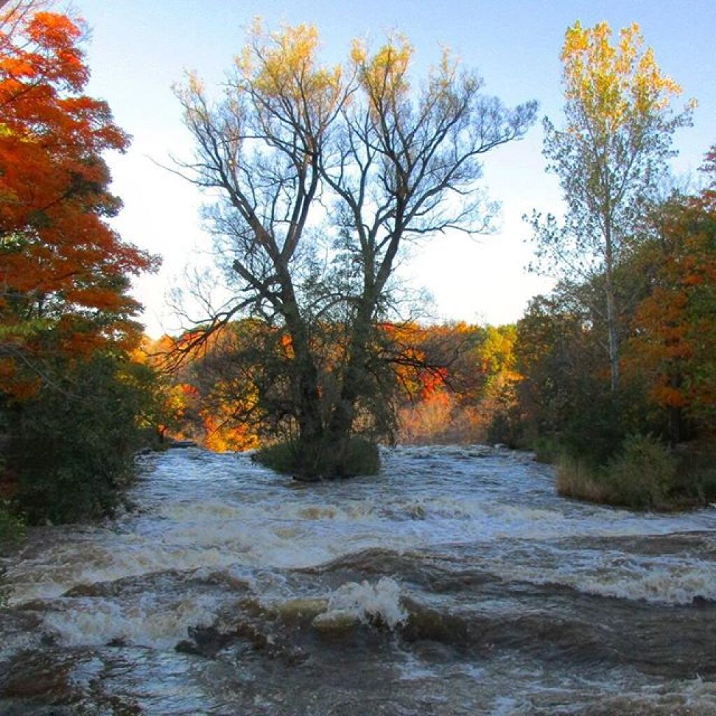 Photo: Above the Falls