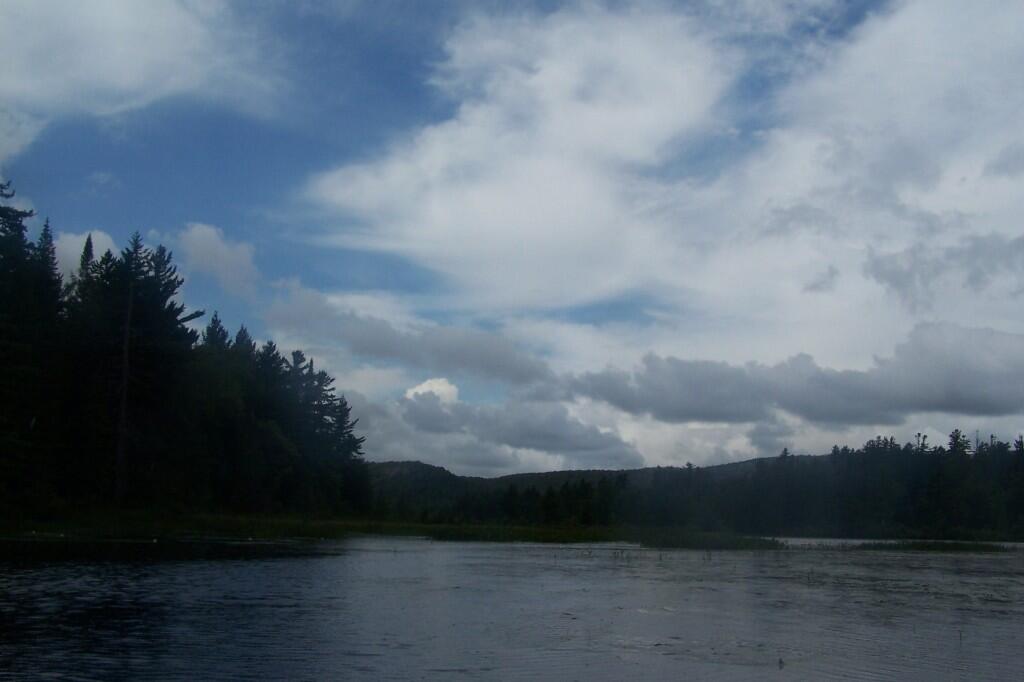 Photo: Low Clouds Overhead