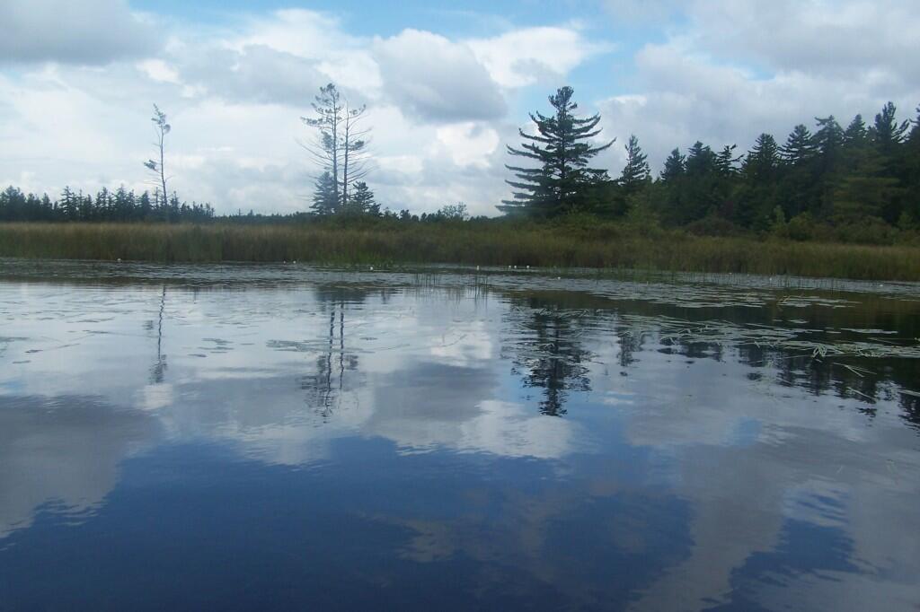 Photo: Reflections