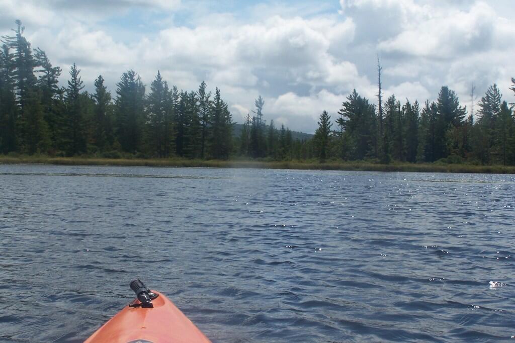 Photo: Wandering Thru Bog River Flow