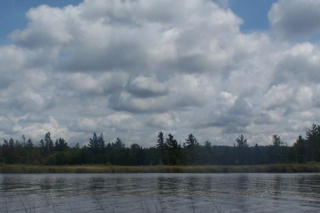 Photo: Along the Flow