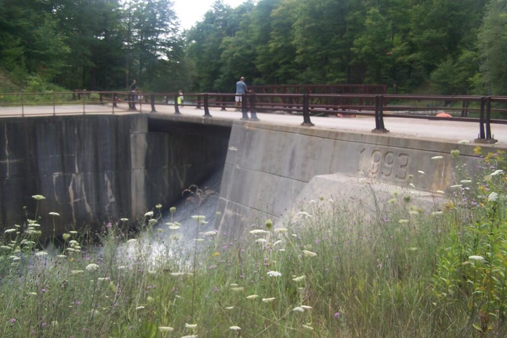Photo: Lows Upper Dam