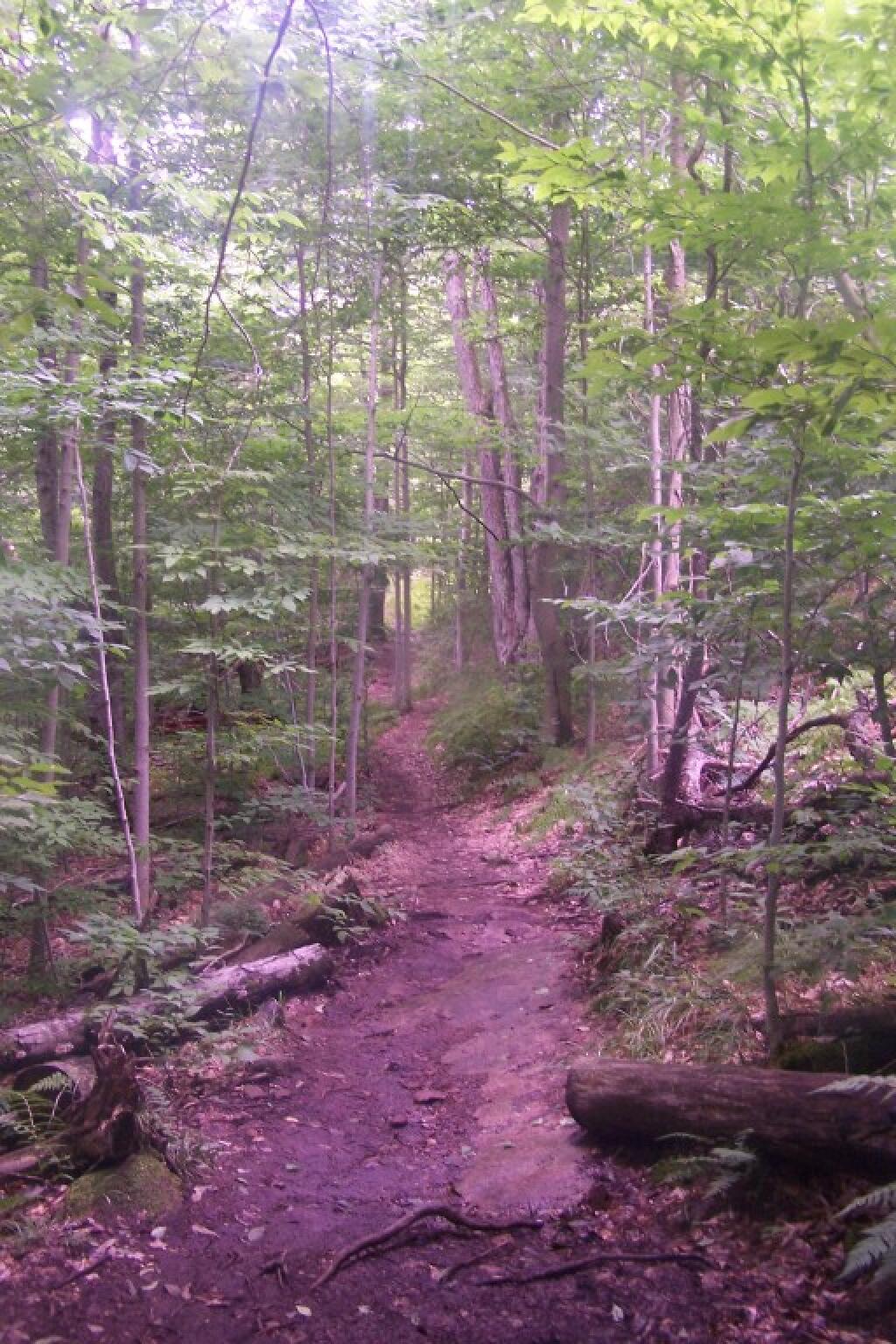 Photo: Hiking Up Lows Ledge