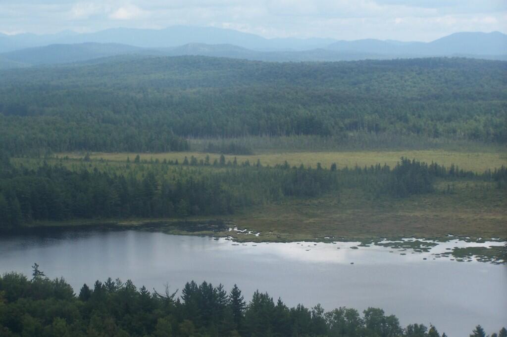 Photo: Hitchins Pond