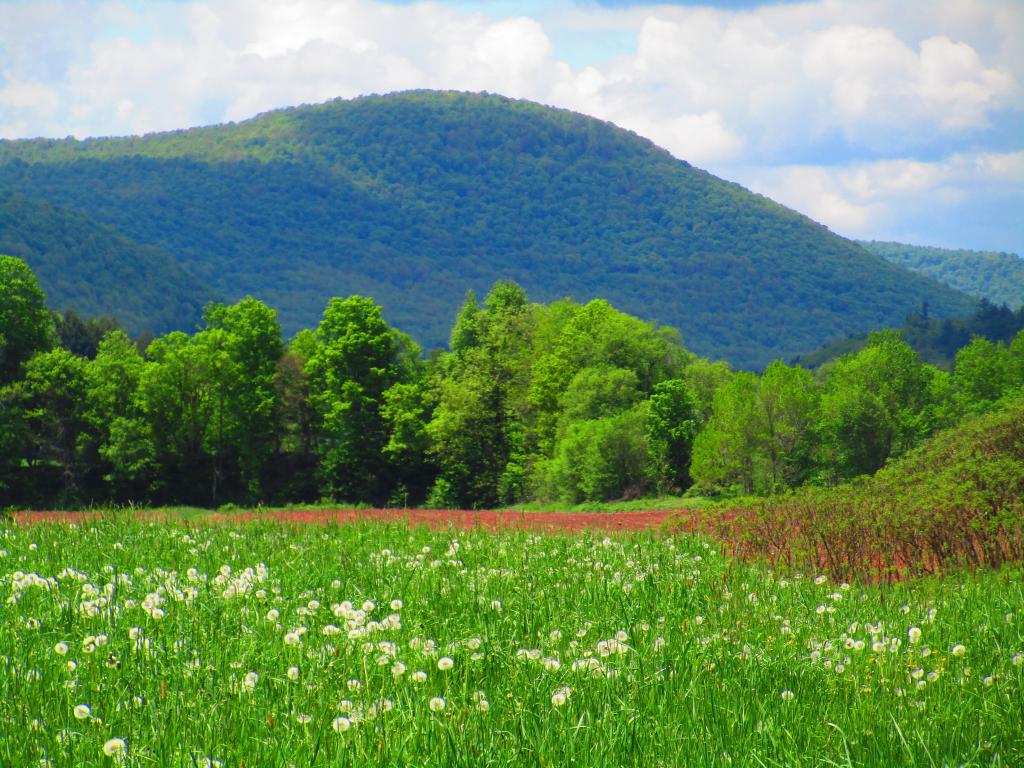 Photo: Mountains