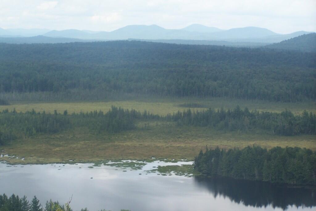 Photo: Marshy Lands of Bog River Flow