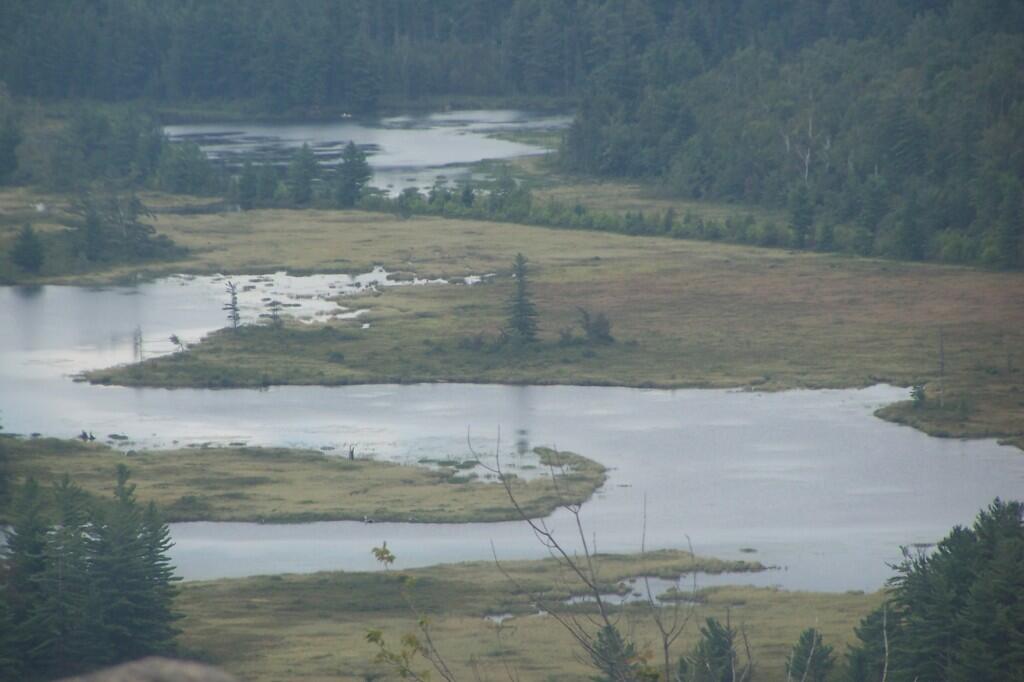 Photo: Bog River