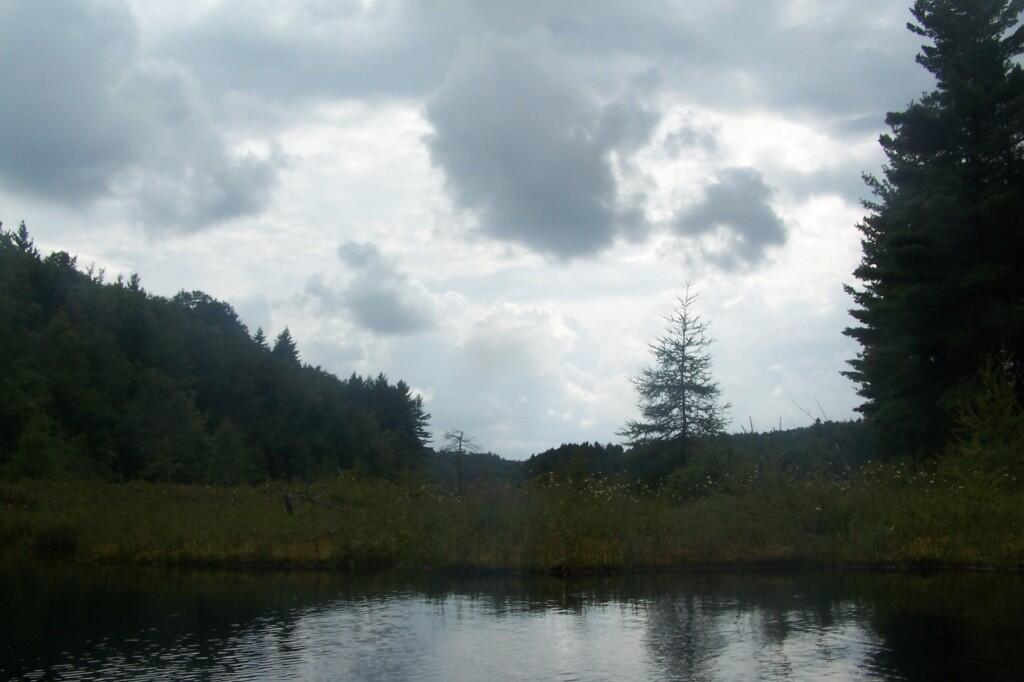 Photo: More Rain?