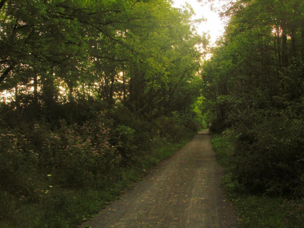 Photo: Black Diamond Trail