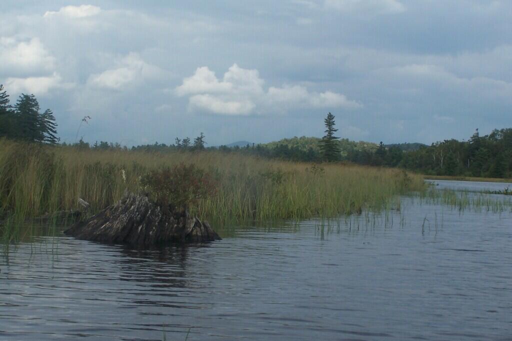 Photo: Bog River Flow