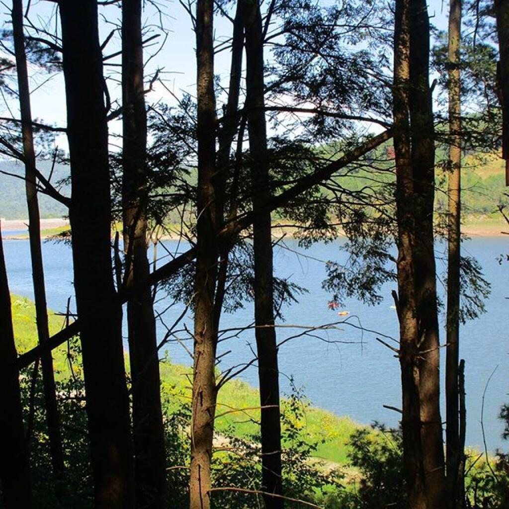 Photo: Reservoir