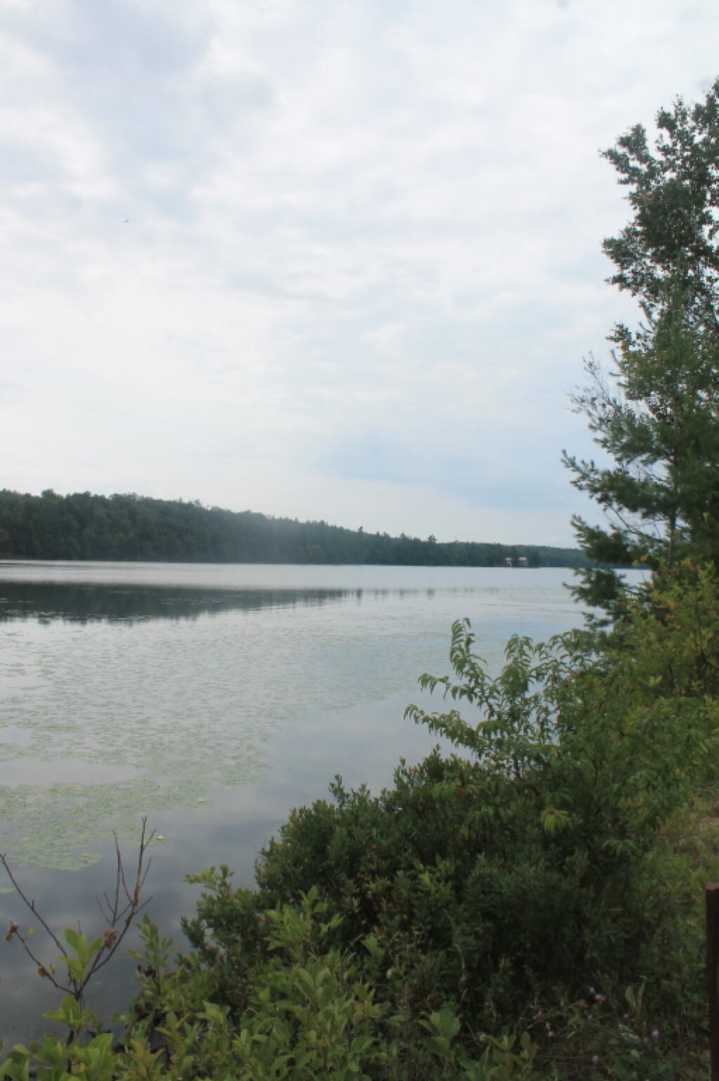 Photo: West Fork of Forked Lake