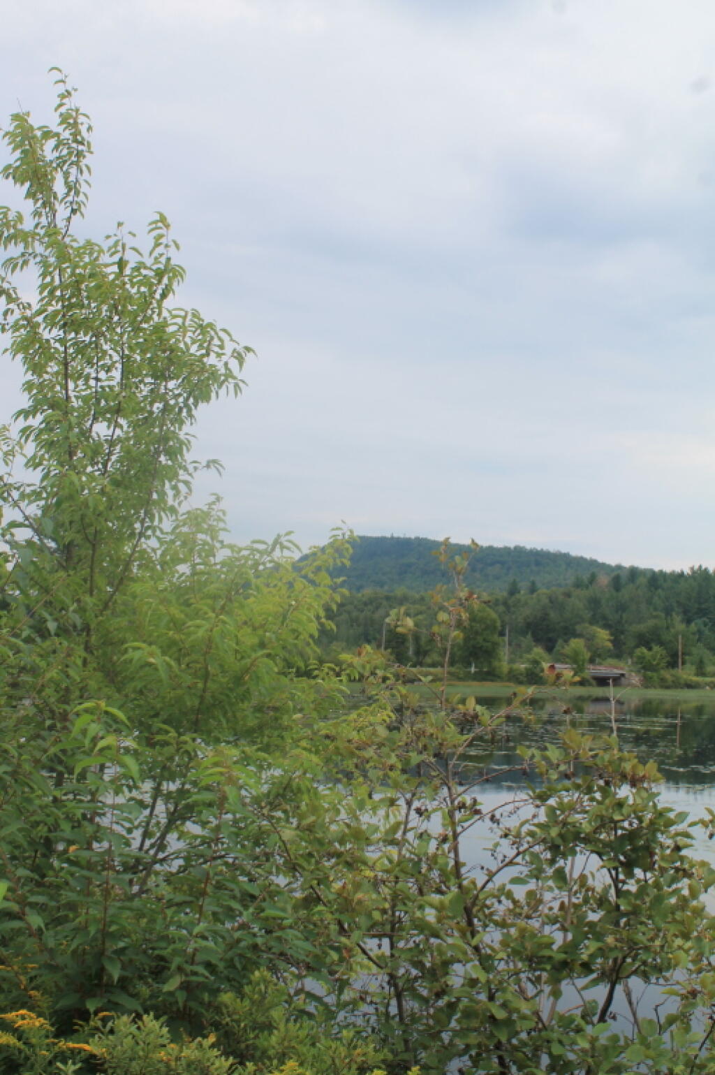 Photo: Racquette Lake Outlet
