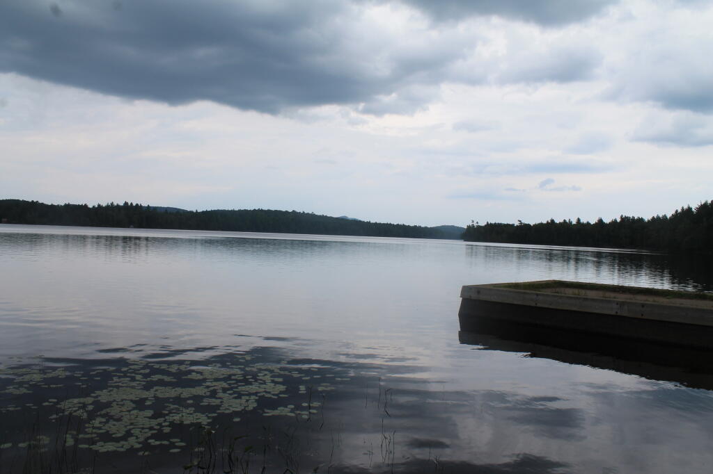 Photo: Forked Lake Dock