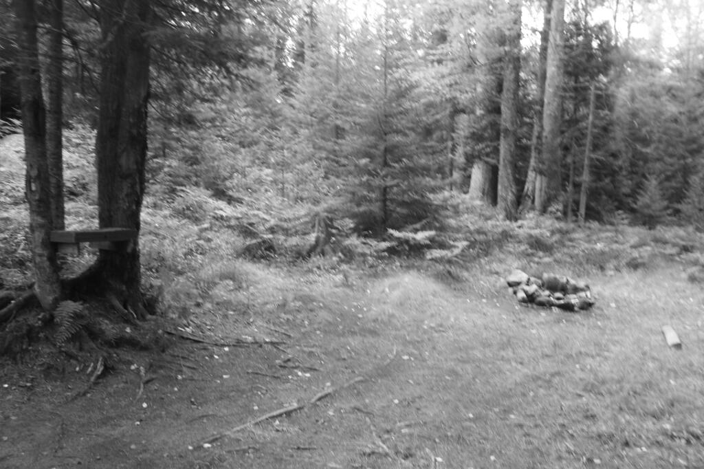Photo: Beaver Creek Campsite