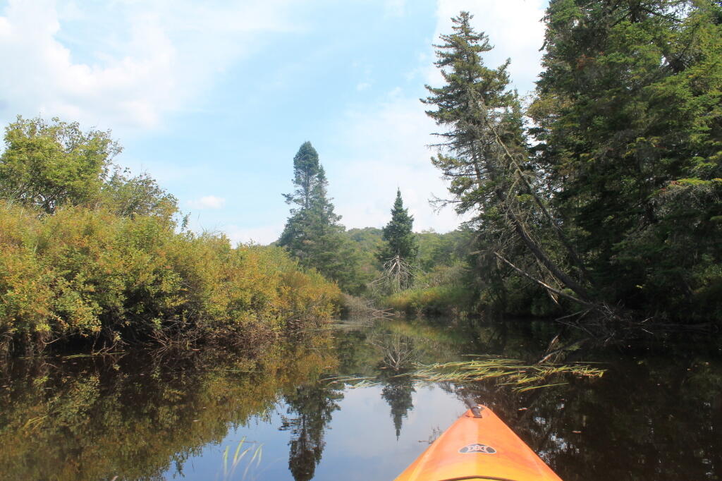 Photo: Below Powley Bridge
