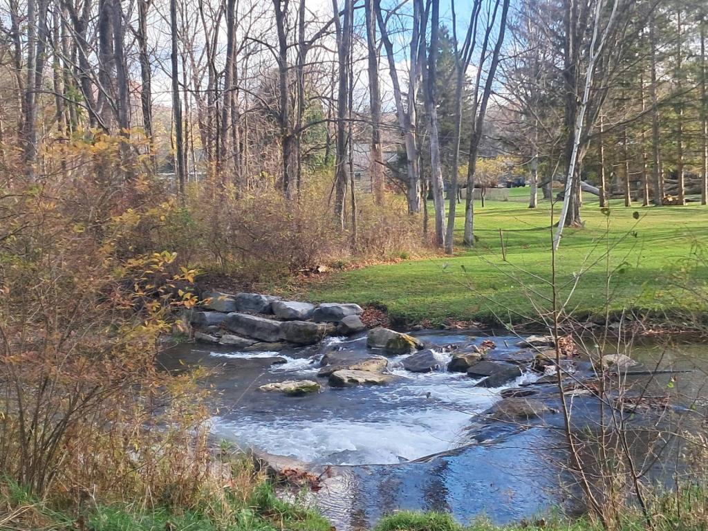 Photo: Untitled Photo: Untitled